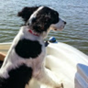 Meet your Posher, Scott